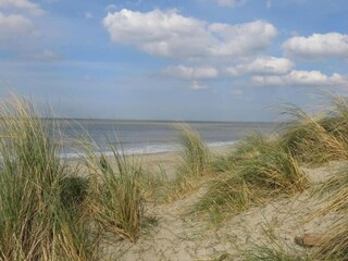 Parc de vacances Bredene Environnement 24