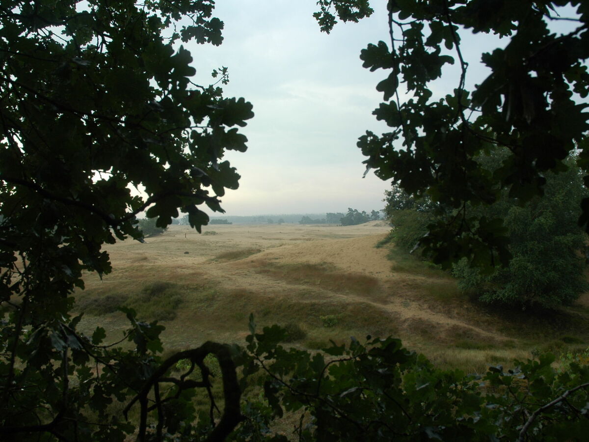 Ferienpark Voorthuizen Umgebung 23