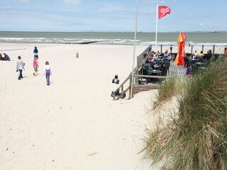 Vakantiepark Breskens Omgeving 12
