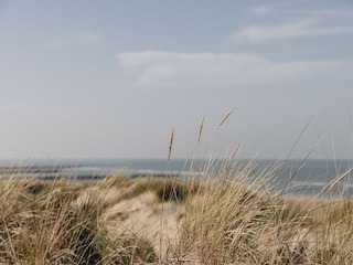 Parc de vacances Bredene Environnement 15