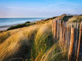 Vakantiepark Bredene Omgeving 10