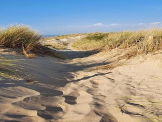 Vakantiepark Bredene Omgeving 23