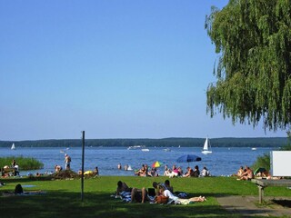 Apartamento Plau am See Entorno 11