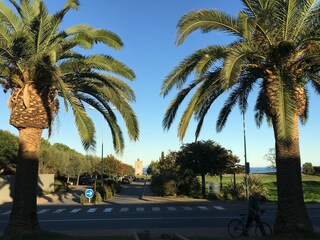 Parque de vacaciones Moriani-Plage Entorno 17