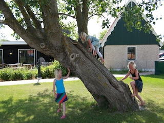 Vakantiepark Wieringen Omgeving 24