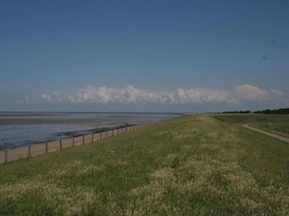 Ferienpark Wieringen Umgebung 32