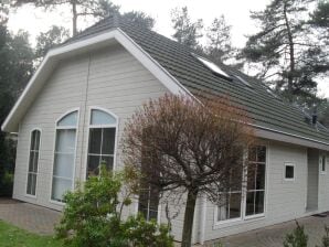 Vakantiepark Nette vakantiewoning met afwasmachine - Lochem - image1