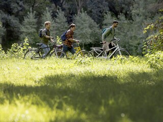 Ferienpark Jabbeke Umgebung 27