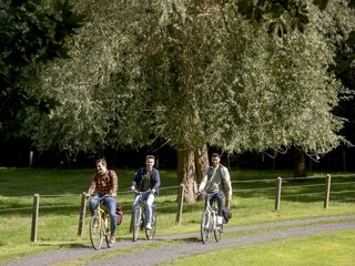 Ferienpark Jabbeke Umgebung 28