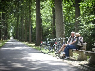 Parc de vacances Jabbeke Environnement 29