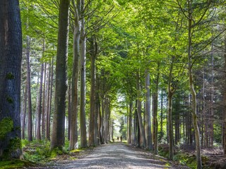 Ferienpark Jabbeke Umgebung 30