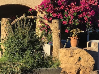 Vakantiepark Moriani-Plage Omgeving 16