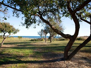 Ferienpark Moriani-Plage Umgebung 34