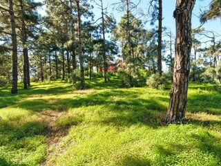 Holiday park Santa Brígida Outdoor Recording 13
