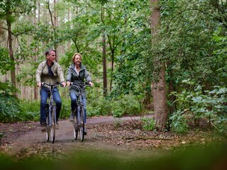 Parco vacanze Voorthuizen Ambiente 22