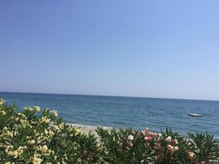 Parco vacanze Moriani-Plage Ambiente 33