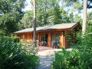 Vakantiepark Houten chalet gelegen in de Achterhoek - Lochem - image1