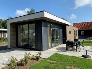 Vakantiepark Modern, licht chalet met afwasmachine, in de Achterhoek - Lochem - image1