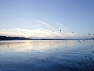 Holiday park Waren (Müritz)  22