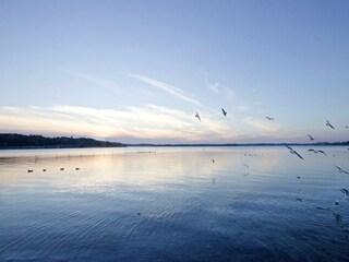 Parco vacanze Waren (Müritz)  24