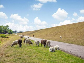 Vakantiepark Wieringen Omgeving 28