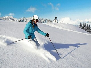 Holiday park Wildschönau-Niederau Environment 23