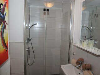 Appartement Krimml Kenmerken 23