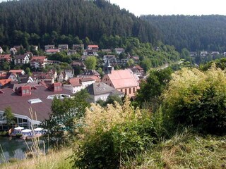 Apartment Wieda Umgebung 21