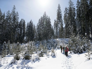 Appartamento Bramberg am Wildkogel Ambiente 35