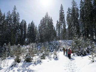 Appartamento Bramberg am Wildkogel Ambiente 27
