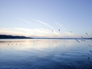 Holiday park Waren (Müritz) Environment 24