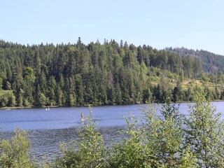 Holiday apartment Brandenberg (Schwarzwald) Environment 39