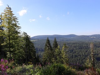 Holiday apartment Brandenberg (Schwarzwald) Environment 38