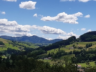 Ausblick Nussbaumerhof