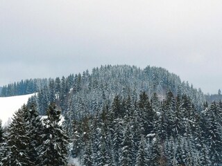 Appartement Altenau im Oberharz Buitenaudio-opname 3