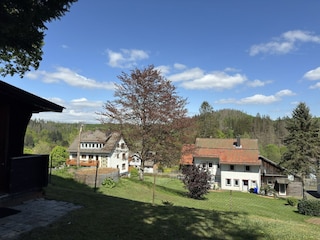 Apartment Altenau im Oberharz Outdoor Recording 8
