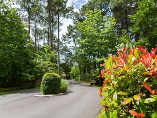 Ferienpark Moliets-et-Maâ Umgebung 33