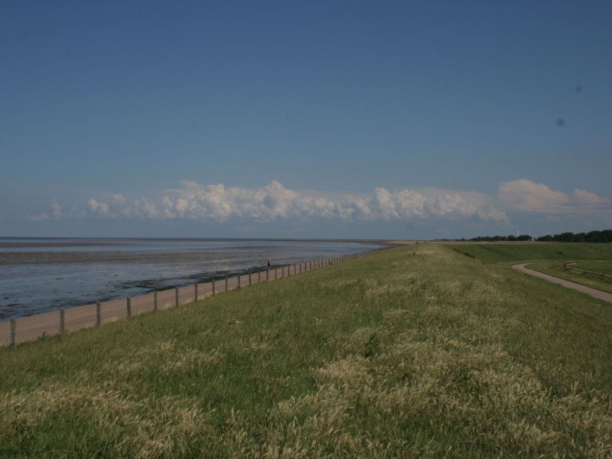 Ferienpark Wieringen Umgebung 31