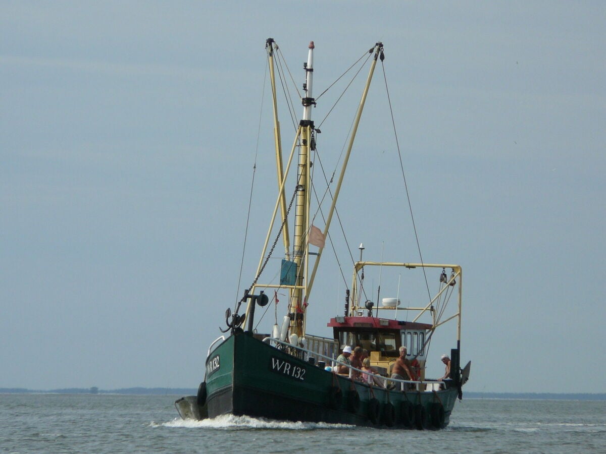 Ferienpark Wieringen Umgebung 29