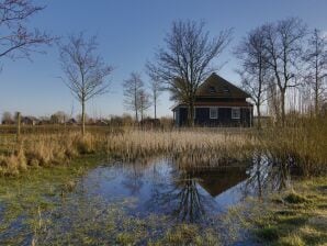 Ferienpark Villa in Hippolytushoef mit Terrasse - Wieringen - image1