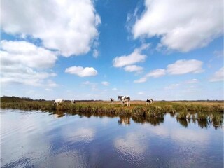 Vakantiepark Giethoorn Omgeving 11