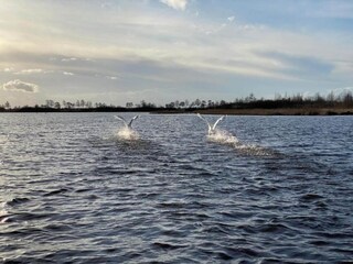 Vakantiepark Giethoorn Omgeving 13