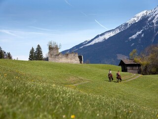 Appartamento Neukirchen am Großvenediger Ambiente 21