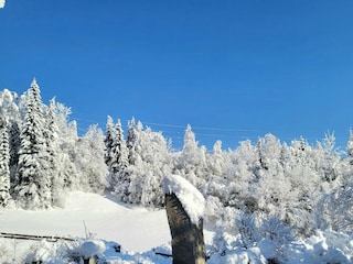 Apartment Neukirchen am Großvenediger Outdoor Recording 6