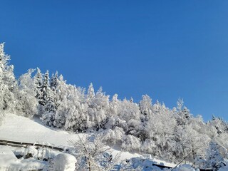Appartamento Neukirchen am Großvenediger Ambiente 30