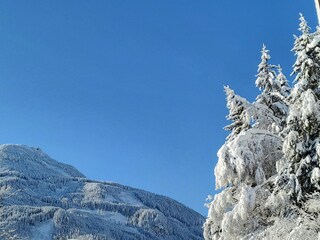 Appartamento Neukirchen am Großvenediger Registrazione all'aperto 5