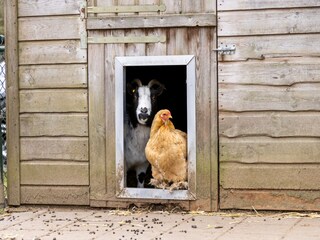 Parc de vacances Putten  26