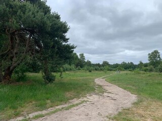 Vakantiepark Putten Omgeving 21