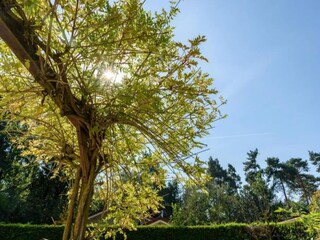 Vakantiepark Putten Omgeving 22