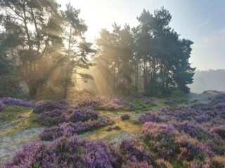 Vakantiepark Putten Omgeving 12